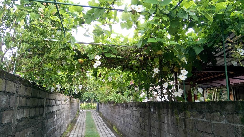Mulia Home Stay Nusa Dua  Esterno foto